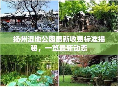 扬州湿地公园最新收费标准揭秘，一览最新动态