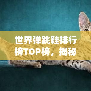 世界弹跳鞋排行榜TOP榜，揭秘弹跳力最强的鞋款！