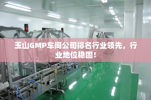 玉山GMP车间公司排名行业领先，行业地位稳固！