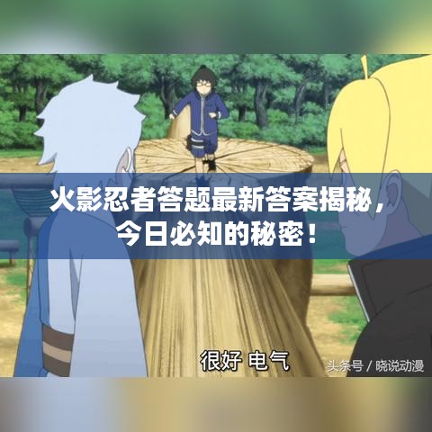 火影忍者答题最新答案揭秘，今日必知的秘密！