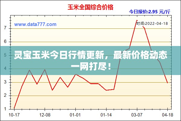 灵宝玉米今日行情更新，最新价格动态一网打尽！