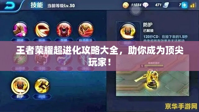 衣不兼采