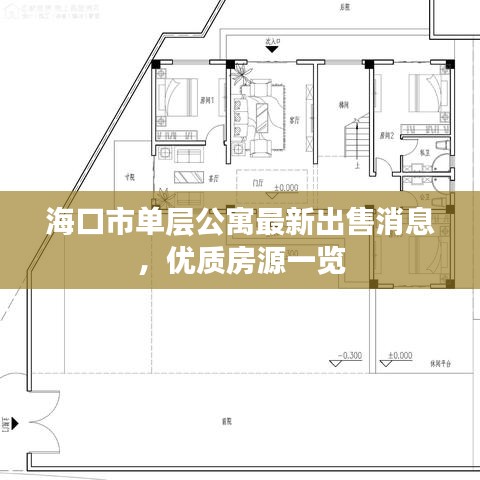 海口市单层公寓最新出售消息，优质房源一览