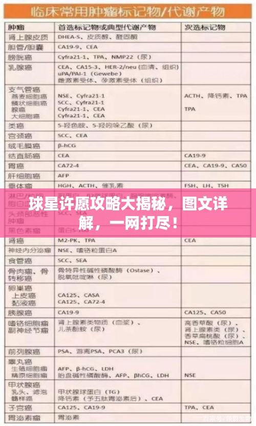 球星许愿攻略大揭秘，图文详解，一网打尽！