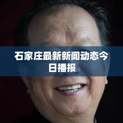 石家庄最新新闻动态今日播报