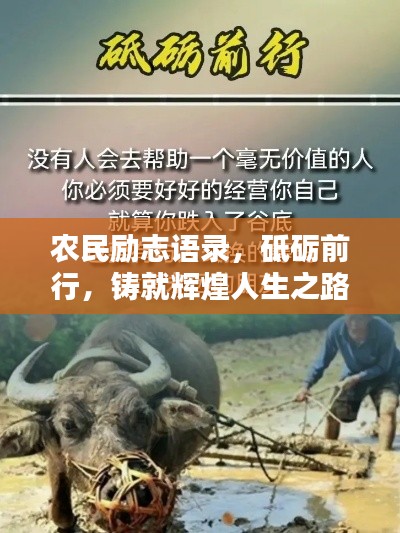 农民励志语录，砥砺前行，铸就辉煌人生之路