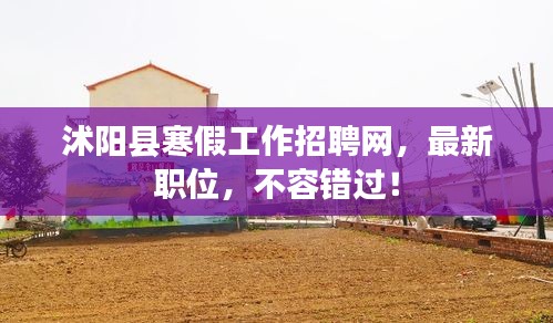 沭阳县寒假工作招聘网，最新职位，不容错过！