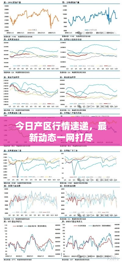 今日产区行情速递，最新动态一网打尽