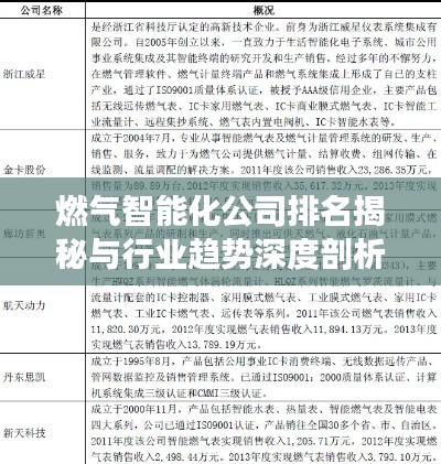 燃气智能化公司排名揭秘与行业趋势深度剖析