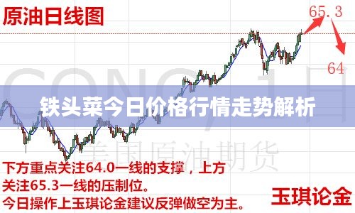反朴归真