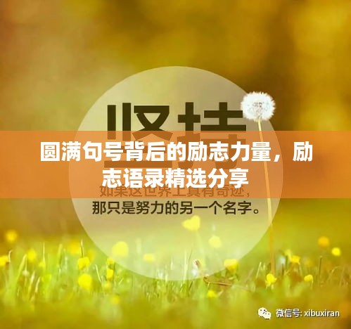 圆满句号背后的励志力量，励志语录精选分享