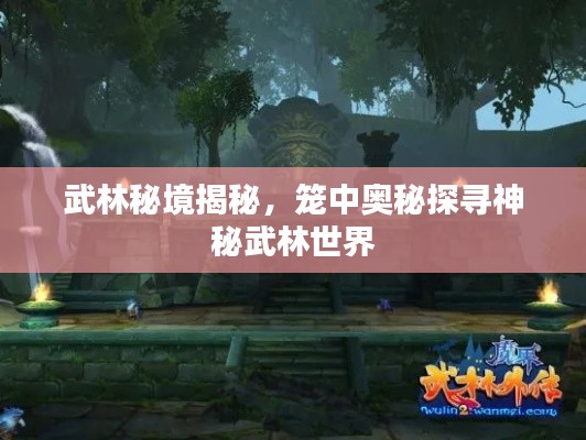 武林秘境揭秘，笼中奥秘探寻神秘武林世界