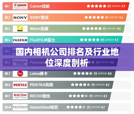 国内相机公司排名及行业地位深度剖析