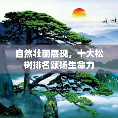 自然壮丽展现，十大松树排名颂扬生命力