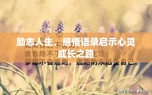 百不获一