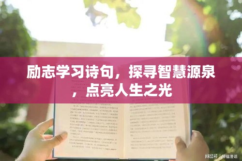 励志学习诗句，探寻智慧源泉，点亮人生之光