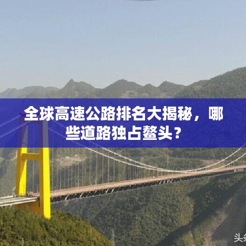 穷鸟入怀