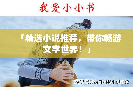 「精选小说推荐，带你畅游文学世界！」