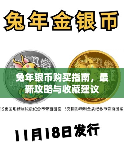 兔年银币购买指南，最新攻略与收藏建议