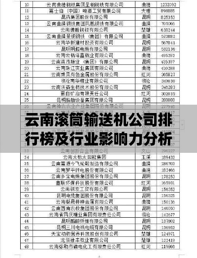 云南滚筒输送机公司排行榜及行业影响力分析