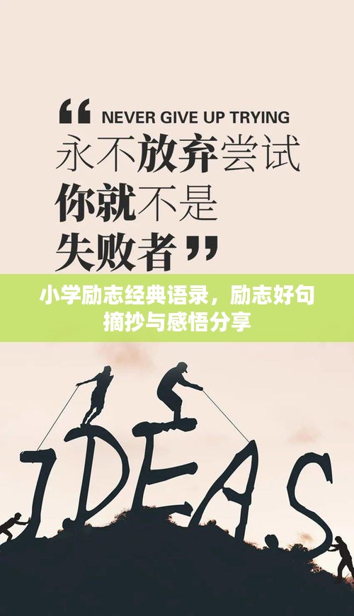 小学励志经典语录，励志好句摘抄与感悟分享