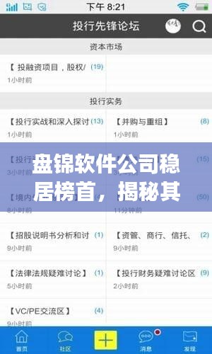 盘锦软件公司稳居榜首，揭秘其成功的奥秘