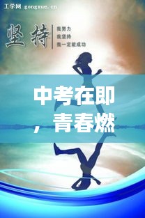 鸟骇鼠窜