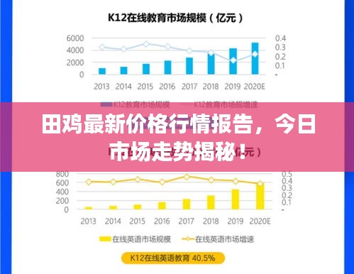 田鸡最新价格行情报告，今日市场走势揭秘！