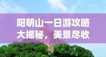阳明山一日游攻略大揭秘，美景尽收眼底！