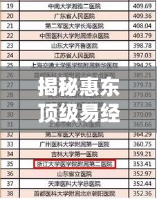 揭秘惠东顶级易经大师榜单，十大高人排名解析