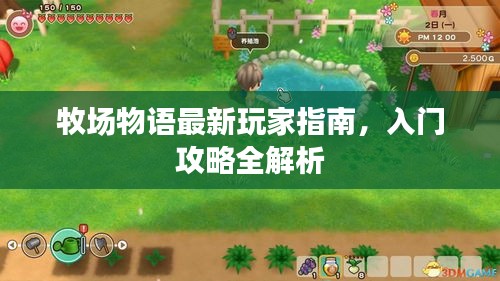 牧场物语最新玩家指南，入门攻略全解析