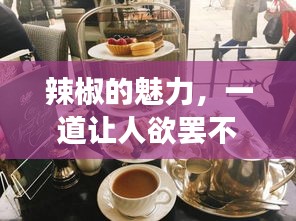 辣椒的魅力，一道让人欲罢不能的美食探索之旅！