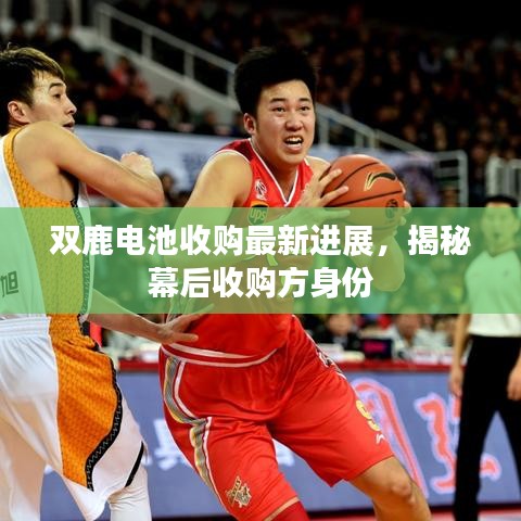 双鹿电池收购最新进展，揭秘幕后收购方身份