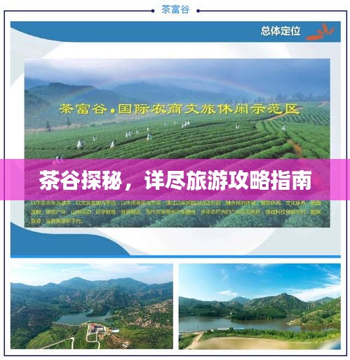 茶谷探秘，详尽旅游攻略指南