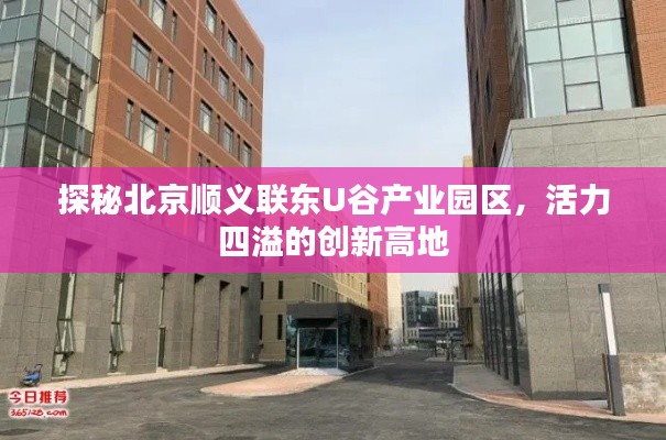 橘虞初梦