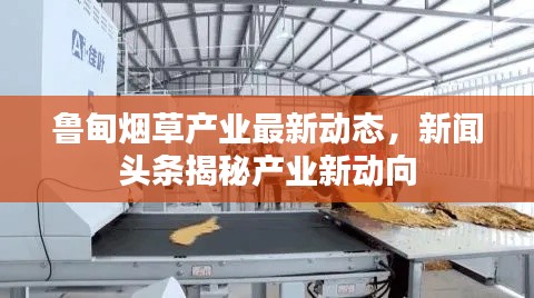 鲁甸烟草产业最新动态，新闻头条揭秘产业新动向