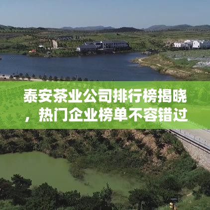 泰安茶业公司排行榜揭晓，热门企业榜单不容错过！