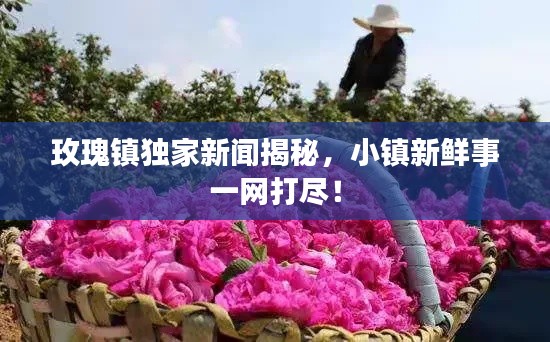 玫瑰镇独家新闻揭秘，小镇新鲜事一网打尽！