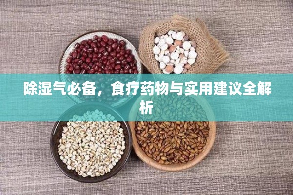 除湿气必备，食疗药物与实用建议全解析