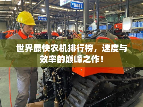 了解鹿瓷 第20页