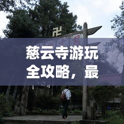慈云寺游玩全攻略，最新路线一网打尽！