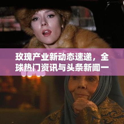 玫瑰产业新动态速递，全球热门资讯与头条新闻一网打尽
