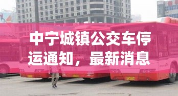 中宁城镇公交车停运通知，最新消息及影响分析
