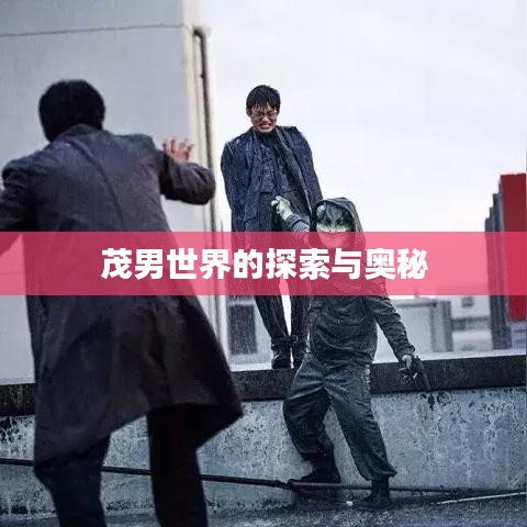 茂男世界的探索与奥秘