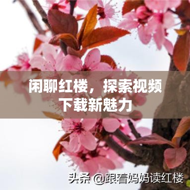 闲聊红楼，探索视频下载新魅力