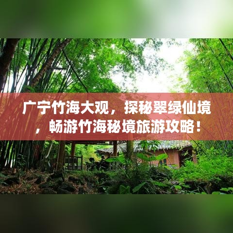 广宁竹海大观，探秘翠绿仙境，畅游竹海秘境旅游攻略！