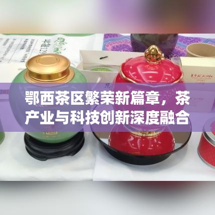 鄂西茶区繁荣新篇章，茶产业与科技创新深度融合引领发展之路