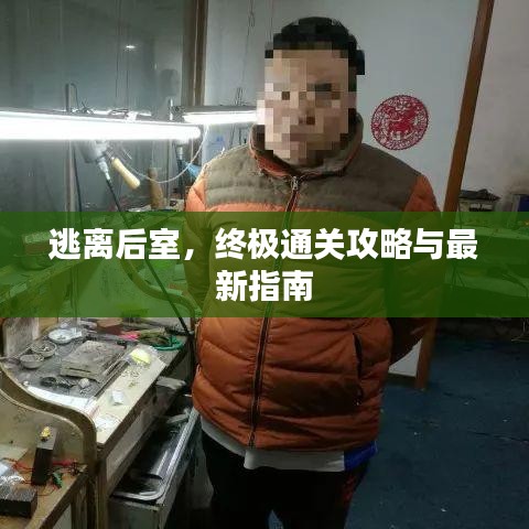 逃离后室，终极通关攻略与最新指南