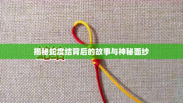 揭秘蛇度结背后的故事与神秘面纱