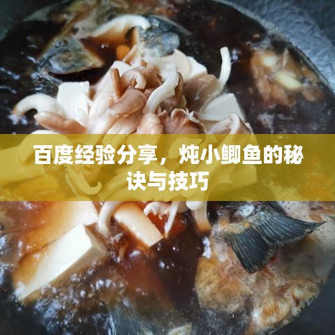 百度经验分享，炖小鲫鱼的秘诀与技巧